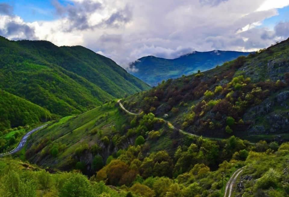 Qarabağda genişmiqyaslı elmi araşdırmalar aparılıb