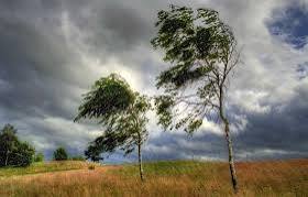 Hava şəraiti ilə əlaqədar əhaliyə müraciət edildi