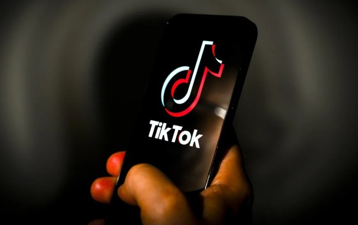 “Xaricdə yaşayan bəzi bloqer və tiktokerlər canlı yayımda insanları alçaldır”