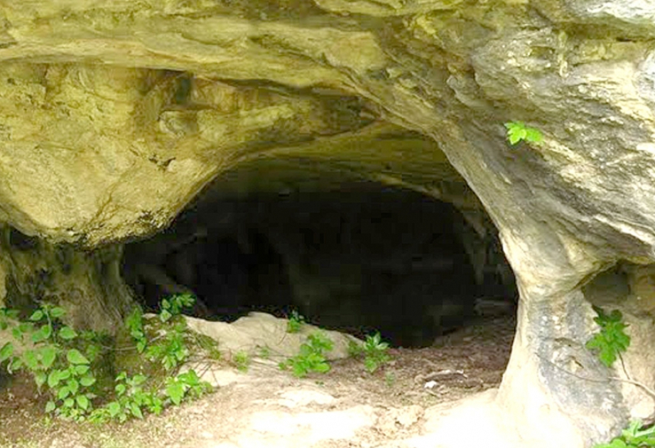 Azərbaycanda qədim insan qalığı tapılıb: təhlil Yaponiyada aparılır