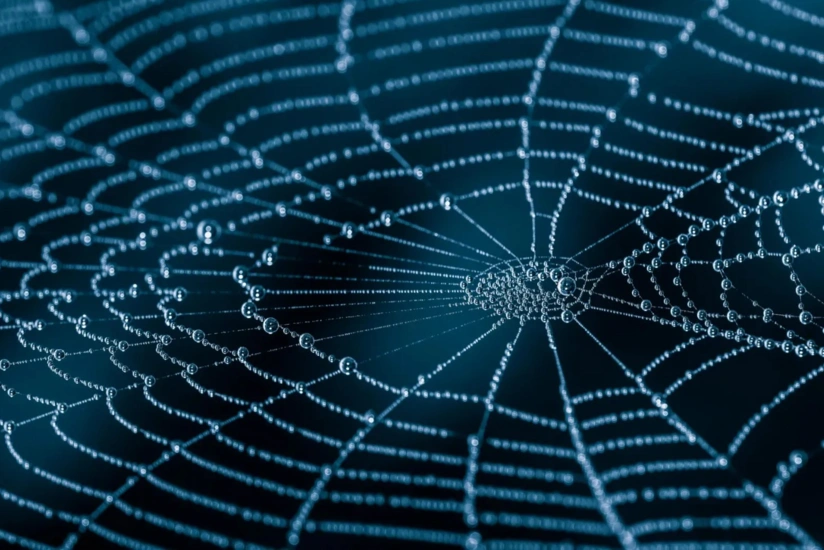 Alimlər "hörümçək ipəyi"nin möhkəmliyinin molekulyar sirrini üzə çıxarıblar