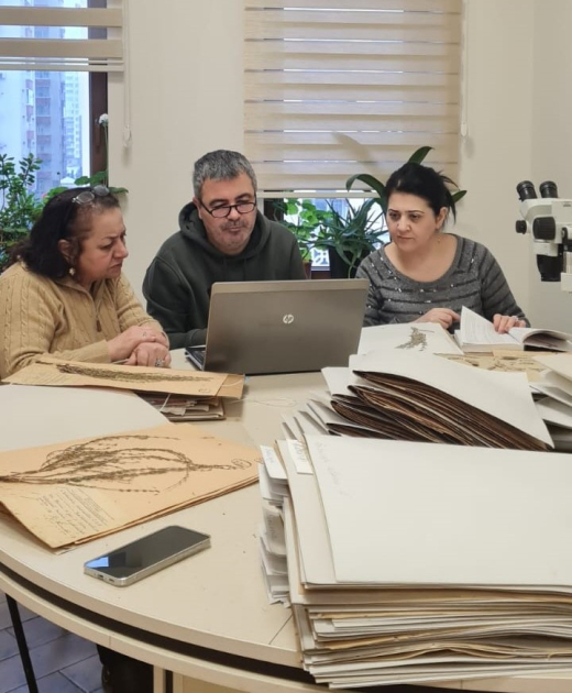 Türkiyəli alimlər Botanika İnstitutunda olublar - FOTO