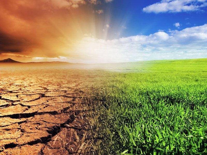 İqlim dəyişir, təbiət isə zəifləyir - yeni araşdırma