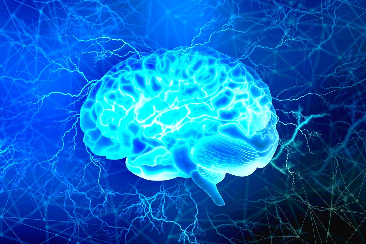 Məşq beynimizi necə qoruyur? -  Alimlər mexanizmi açıqladı