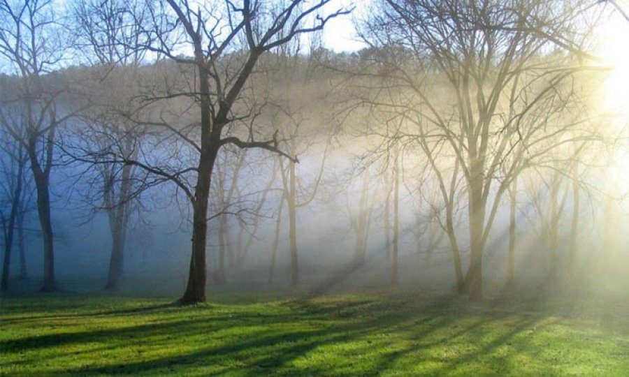 Azərbaycanda təbiət hadisəsi baş verib