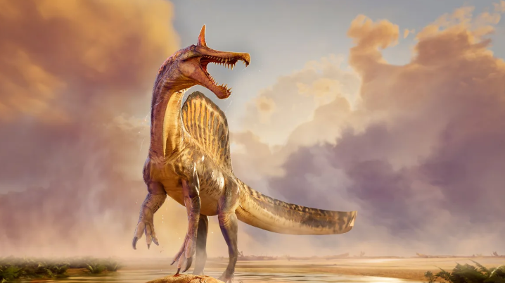 Yeni nəhəng dinozavr növü kəşf edildi