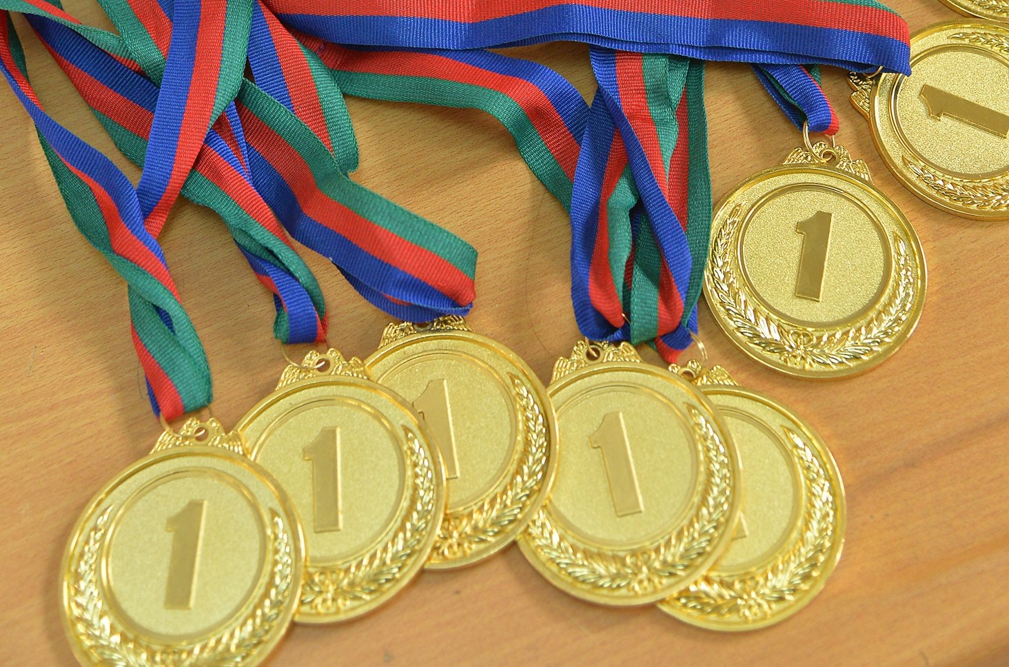 Məktəblilər beynəlxalq müsabiqədə 6 medal qazanıblar