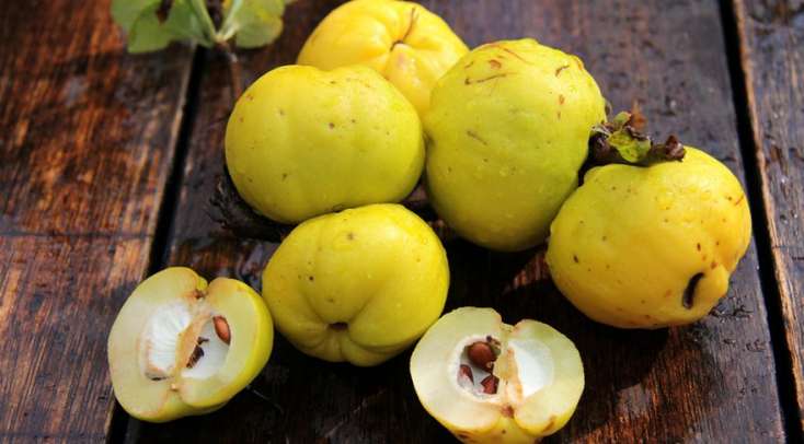 Heyva tumunun faydaları: Təbii şəfa mənbəyi