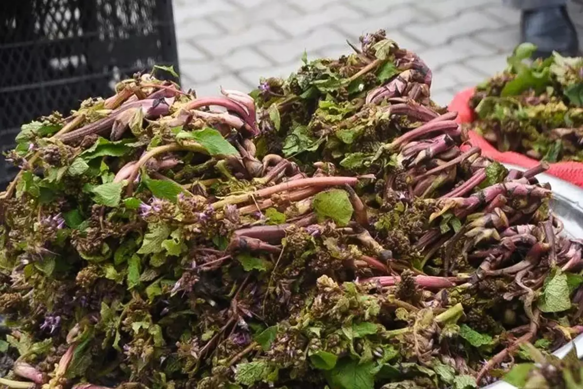 Müharibəyə gedən əsgərlər istifadə edirmiş - Faydası saymaqlq bitmir