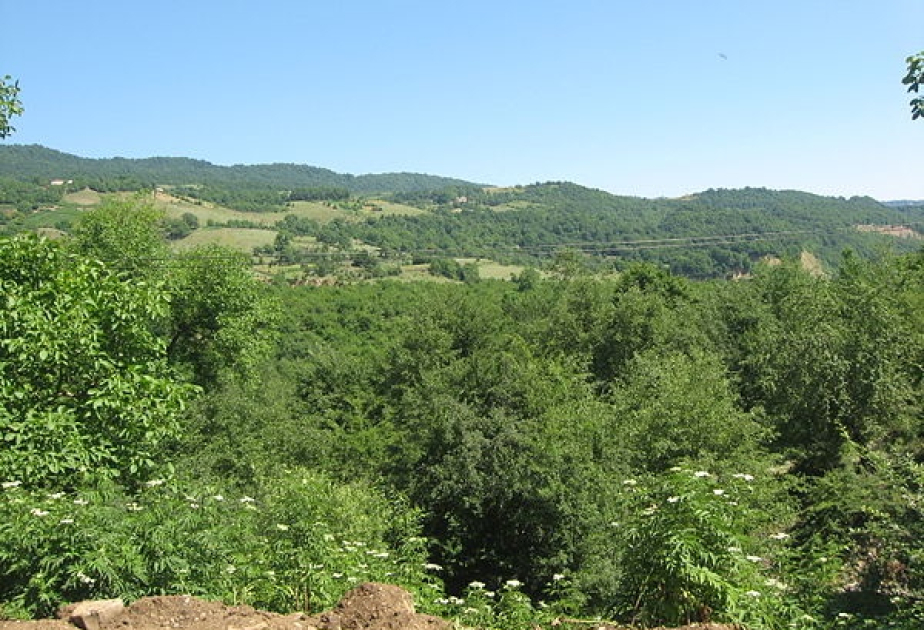 Azərbaycan florasının taksonomiyası və ekobotaniki vəziyyəti tədqiq olunur