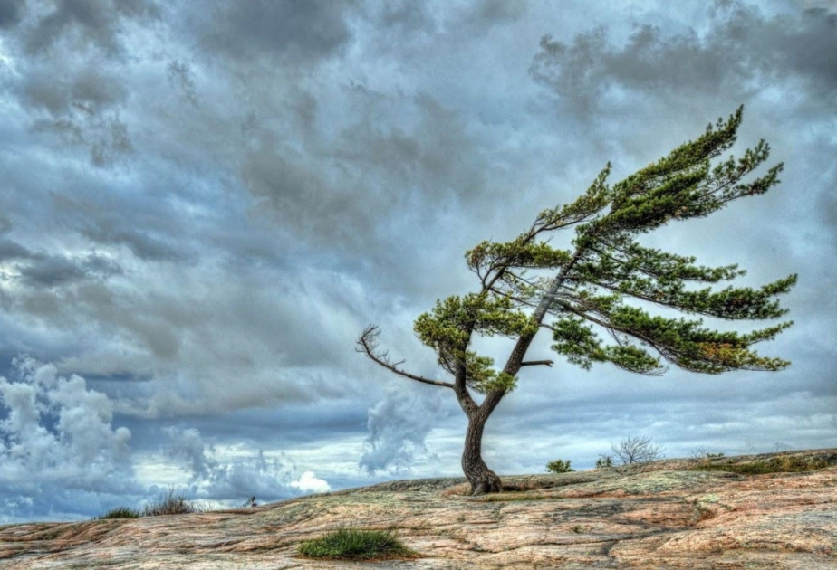 Bəzi yerlərdə külək güclənəcək