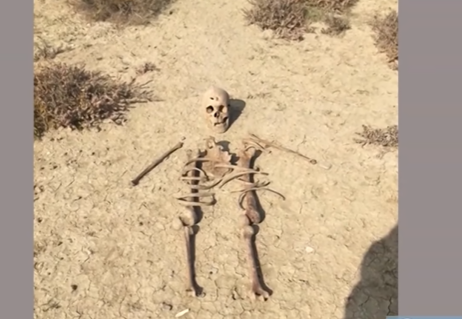 Mikayıl Müşfiqlə bağlı 6 il sonra DNT nəticəsi açıqlandı