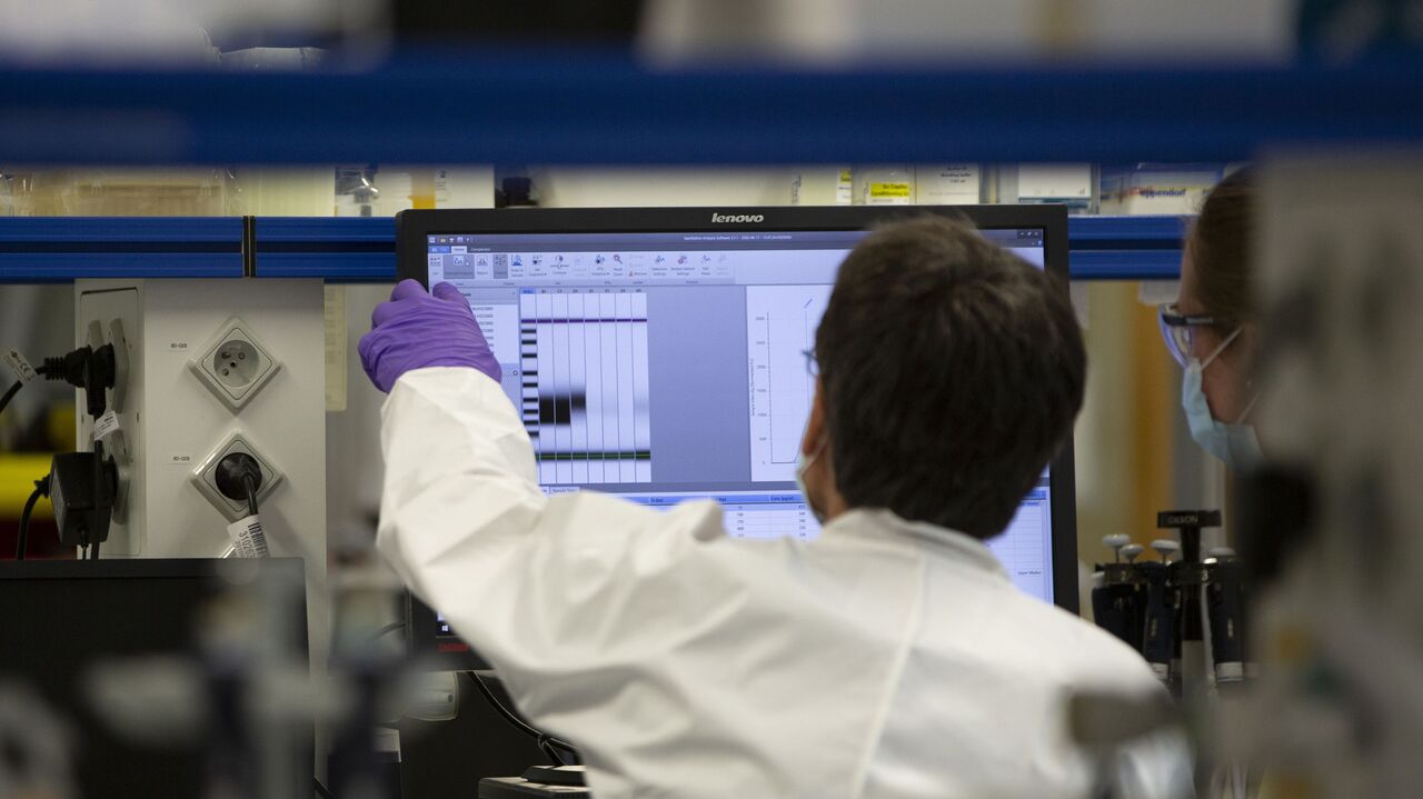 Gənc alimlər üçün müsabiqələr keçiriləcək