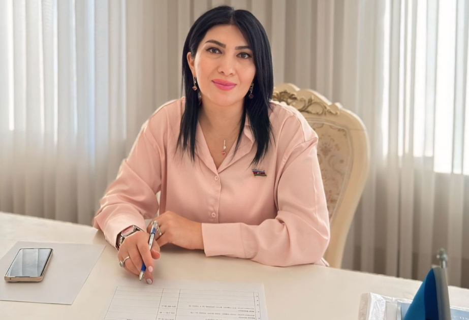 Elnarə Akimova: “Bugünkü reallıq göstərir ki, Azərbaycanda media-dövlət əməkdaşlığı inkişaf mərhələsindədir”