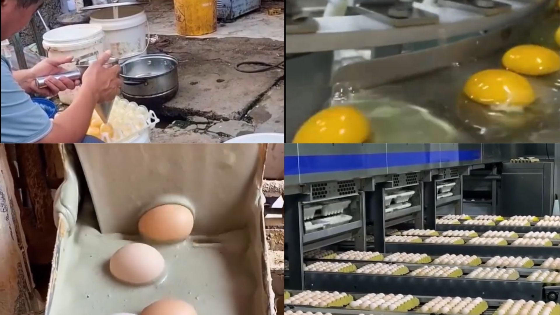 Bu dəfə də saxta yumurta istehsal edirlər: Orijinaldan ayırd etmək olmur