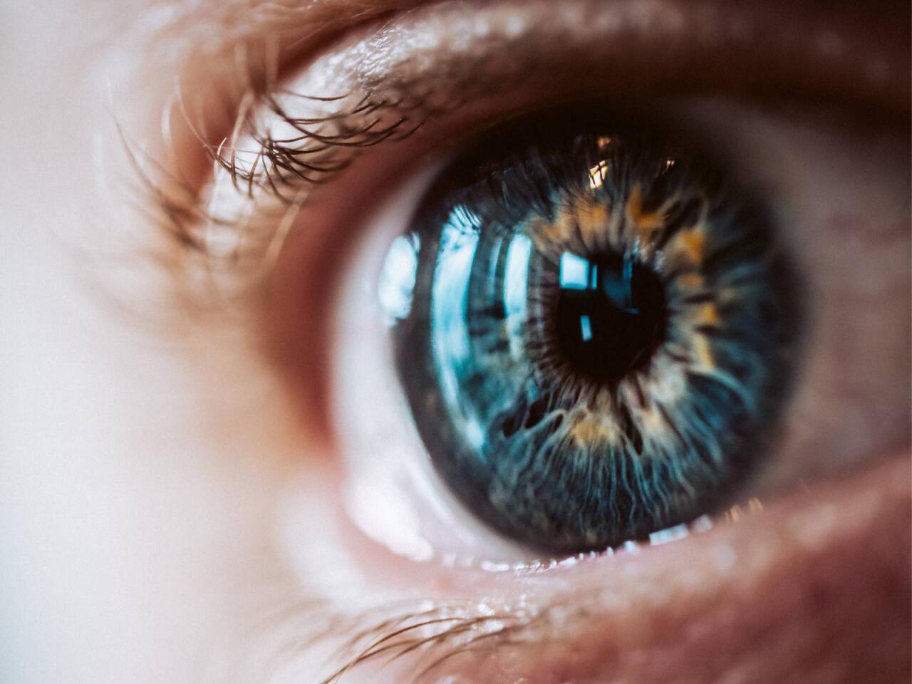 Gözə xeyir olan təbii qidalar