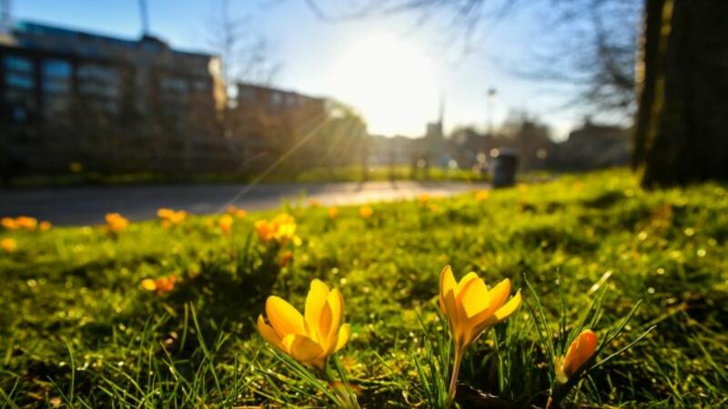 11 dərəcə isti...- Günün havası 