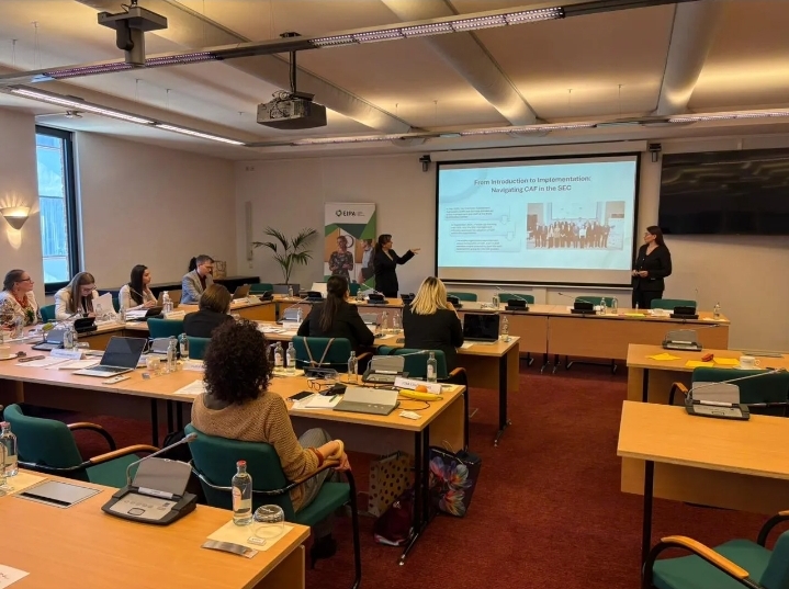 DİM-in nümayəndələri Niderlandda təlimdə iştirak ediblər