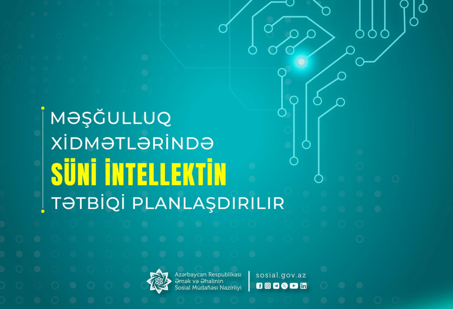 Məşğulluq xidmətlərində süni intellektin tətbiqi planlaşdırılır