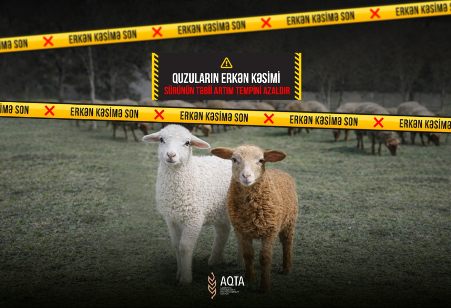 AQTA "Erkən kəsimə son" adlı maarifləndirici kampaniyaya başlayıb