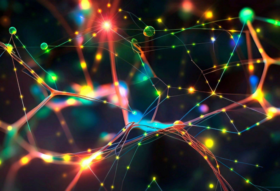 Alimlər “superuzunömürlülərin” məşhur yaddaşının ehtimal olunan sirrini açıqlayıblar