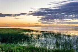 İçməli suda gizli təhlükə: Antibiotiklərə davamlı bakteriyalar yayılır