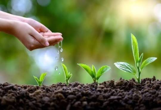 Bu gün torpaq çərşənbəsidir 