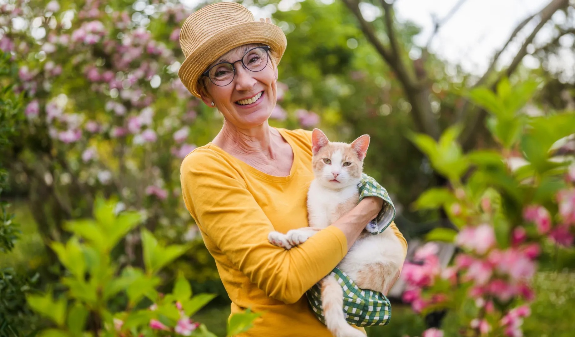 Süd vəzi xərçəngi genetikası pişik və insanlarda oxşardır