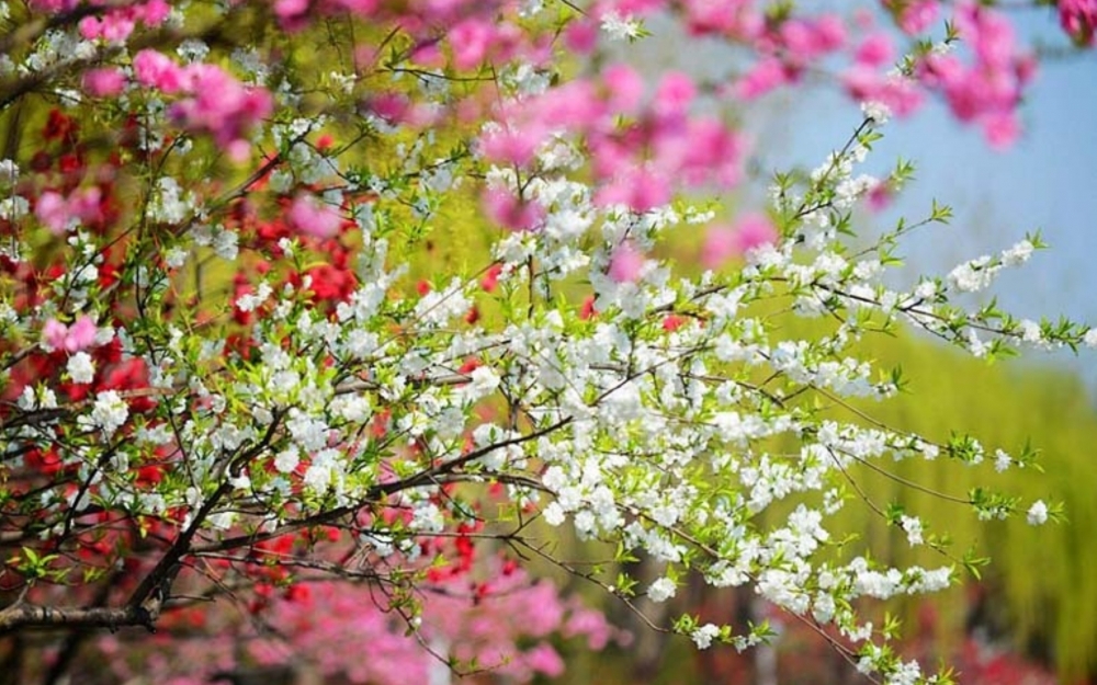 Yazın Azərbaycana daxilolma vaxtı AÇIQLANDI