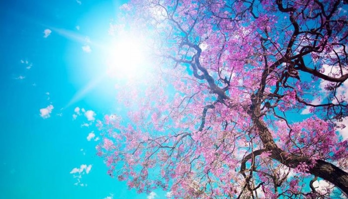 23 mart- Ümumdünya meteorologiya günüdür