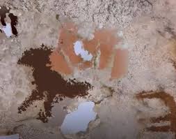 İndoneziyada tarixi tapıntı: Bəşəriyyətin ən qədim əl izi aşkar edildi