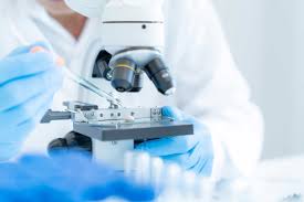 Rusiyalı mütəxəssis: "Yaxın 10-15 ildə alimlər insan ömrünü azı 10 il uzada biləcəklər"