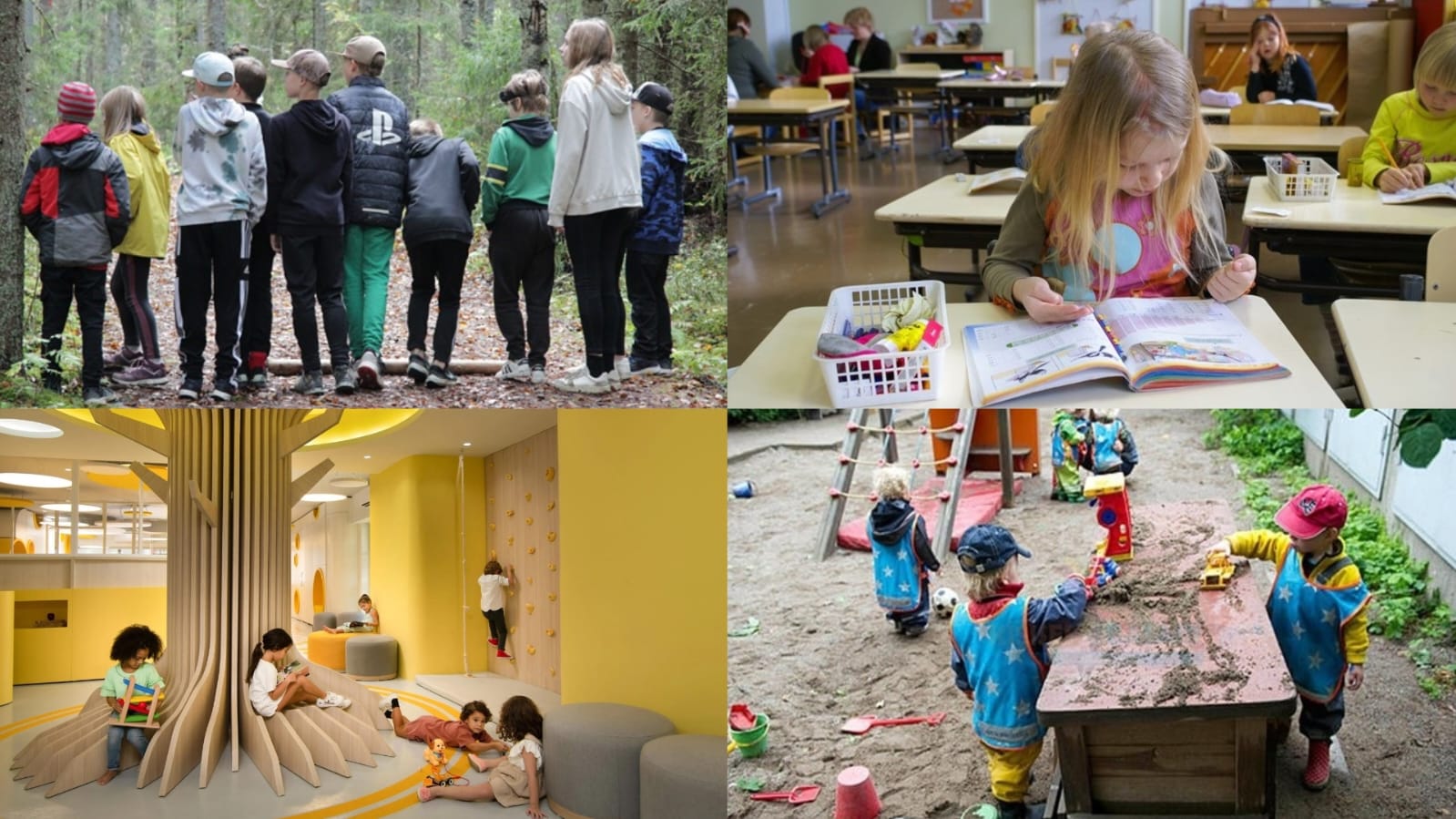 Hər kəsin nümunə çəkdiyi Finlandiya təhsili - imtahan yox, nəticə var