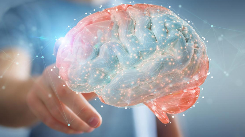 Neyrologiyada irəliləyiş: Beyin naviqasiya sistemi necə işləyir?