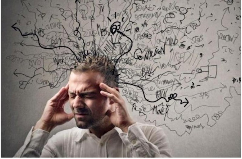 Yaddaş itkisi bu orqanla bağlı ola bilər — Araşdırma 