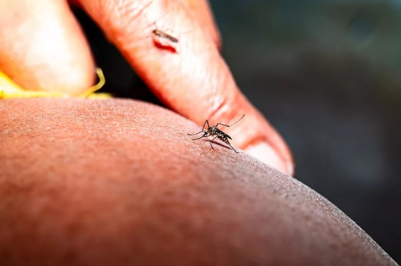 16 məşhur turizm məkanında təhlükəli xəstəlik aktiv şəkildə yayılır