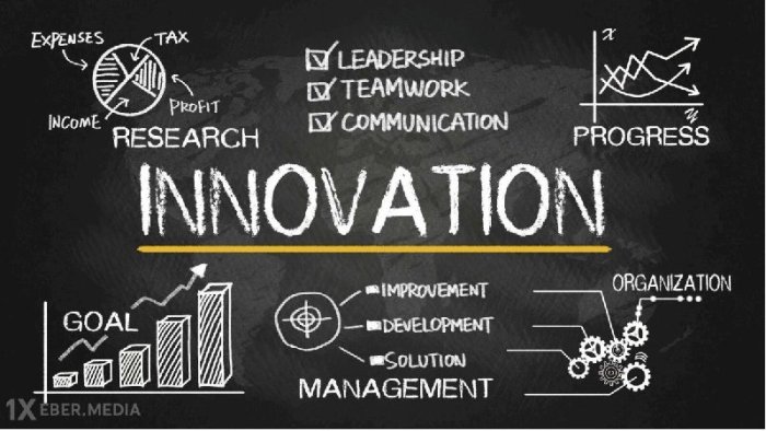 İnnovativ sosial informasiya şəbəkəsi nədir