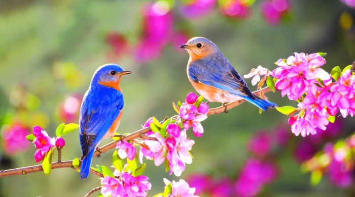 Günün havası- 20 dərəcə isti