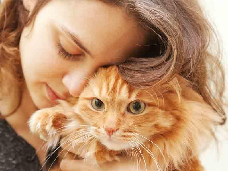 Tək cızıq kifayətdir: Pişiklərdən insanlara keçən göbələk növü aşkar edildi