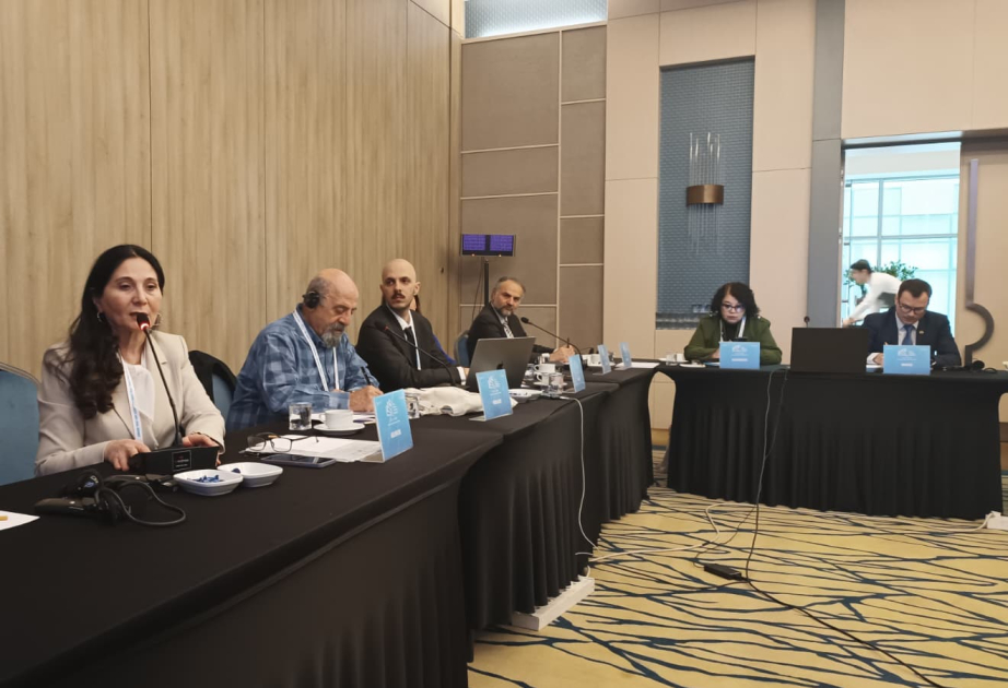 Azərbaycan Milli Kitabxanası Türk Dünyası Nəşriyyat Konqresində təmsil olunur