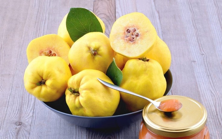 Sağlamlığın açarı: Heyvanın faydaları