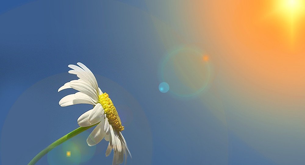 Aprelin ilk günündə 25 dərəcə isti olacaq