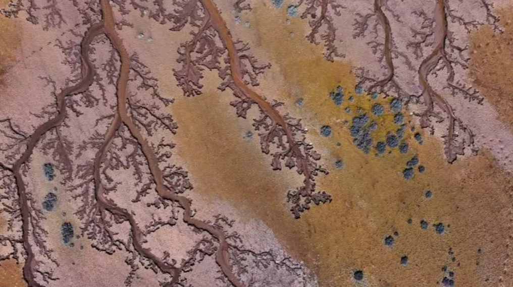 Gölün suyu çəkildi ortaya çıxan mənzərə hamını heyrətə saldı