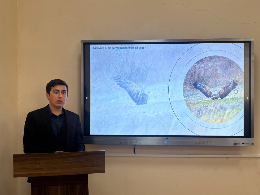 Azərbaycanın nadir quşları və onların mühafizəsi – elmi seminar