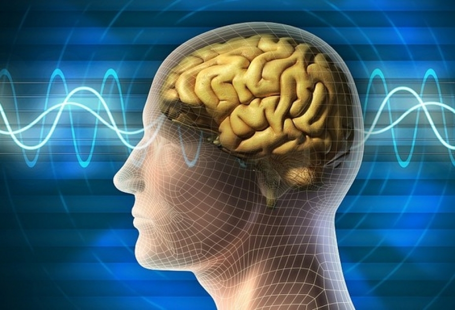 Beyin nə vaxt tam formalaşır?