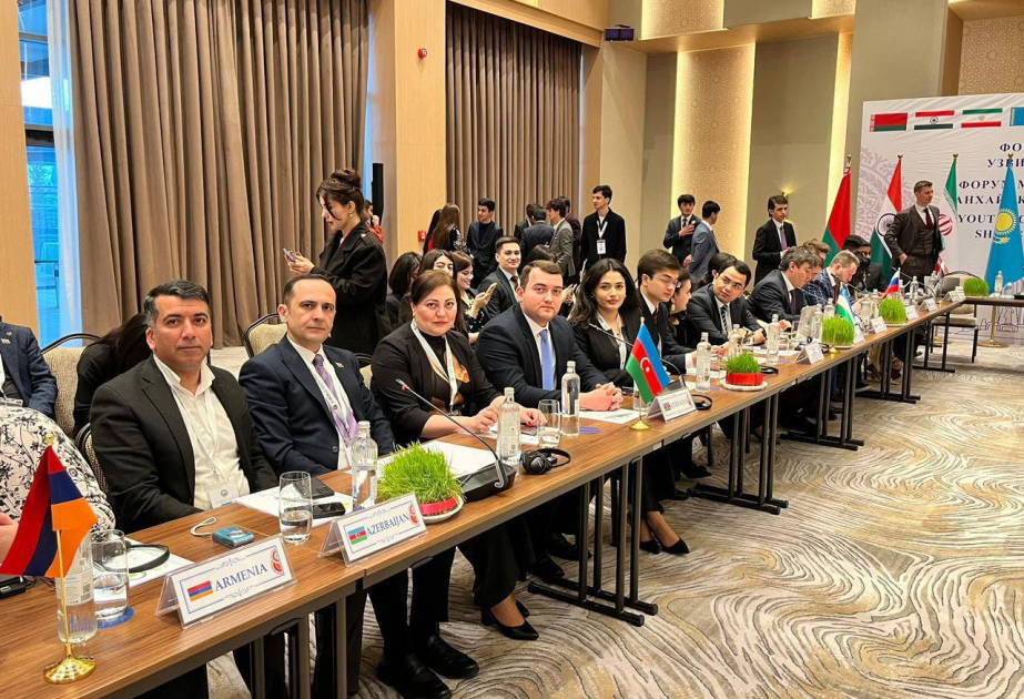 TDT-yə üzv dövlətlərin Bakı görüşünün iştirakçıları Milli Xalça Muzeyi ilə tanış olublar