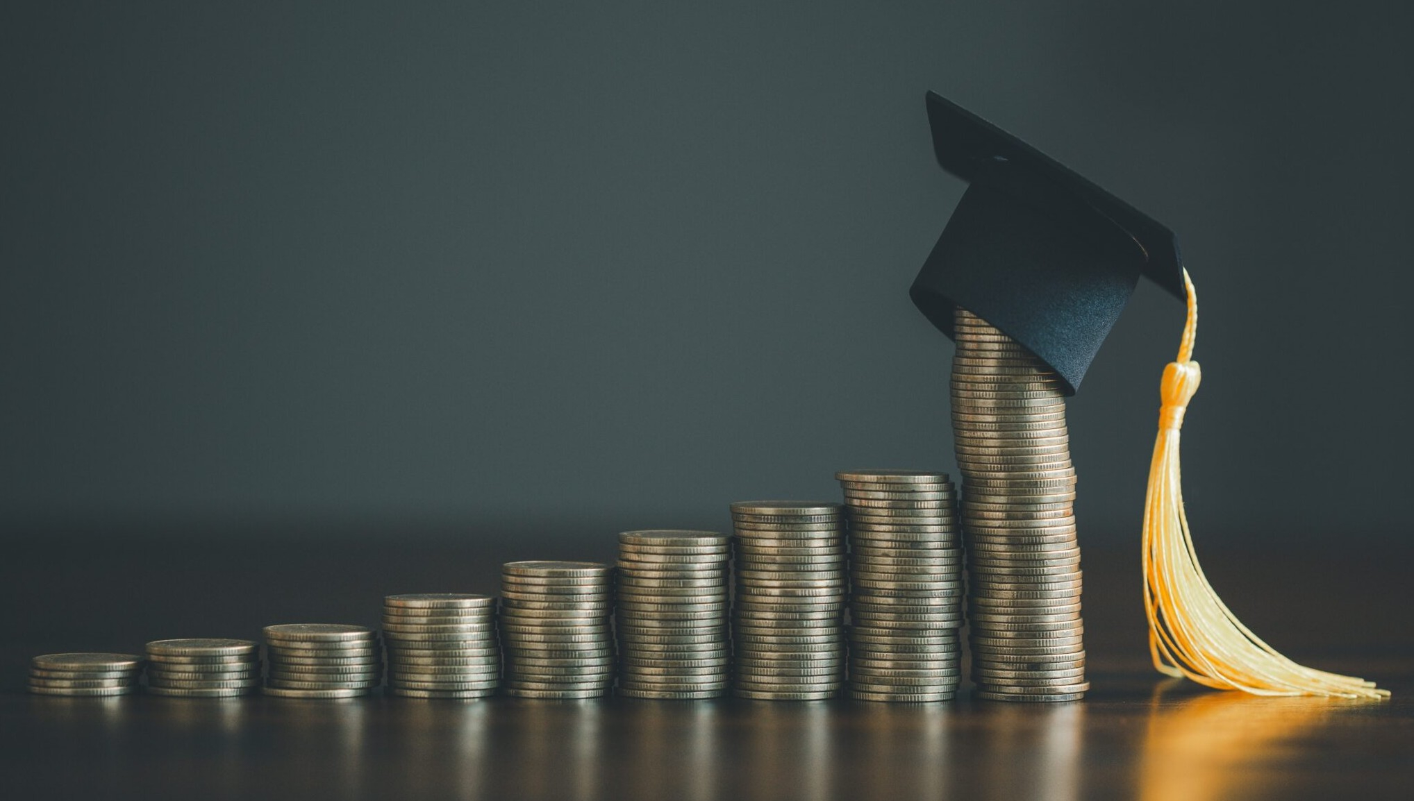 Bu şəxslərin də təhsil haqqını dövlət qarşılayacaq