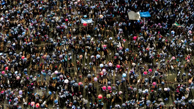 İnsanlar quru ərazinin 50 faizindən çoxunu tutacaq - Yer əhalisinin sayı pik həddə çatacaq