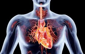 Ürək dayanmasının erkən əlamətləri - bir gün əvvəl nə hiss edirsiniz?