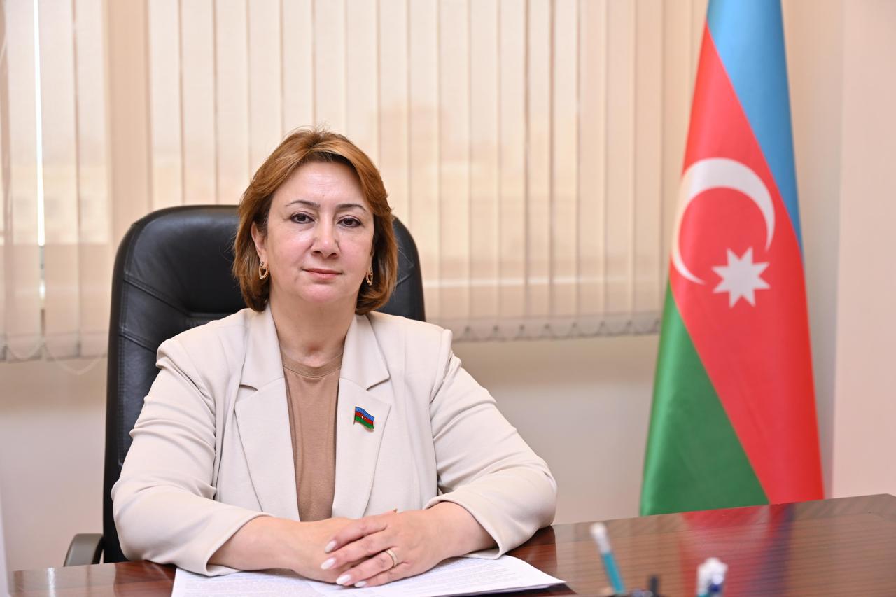 Peşə təhsili Azərbaycanda yeni mərhələyə keçir - Deputat